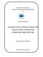 Giải pháp tăng cường huy động vốn tại ngân hàng TMCP bưu điện liên việt