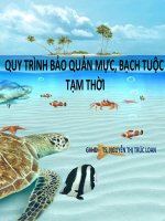 QUY TRÌNH BẢO QUẢN MỰC, BẠCH TUỘC TẠM THỜI