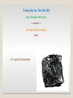 Tiểu luận Quản lý tài nguyên Đề tài Khoáng sản than