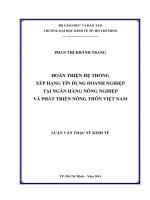 Hoàn thiện hệ thống xếp hạng tín dụng doanh nghiệp tại ngân hàng nông nghiệp và phát triển nông thôn việt nam