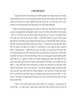 Các yếu tố ảnh hưởng đến các quyết định giá của doanh nghiệp