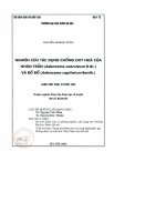 Nghiên cứu tác dụng chống oxy hóa của nhân trần và bồ bồ