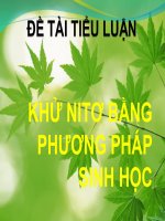 KHỬ NITƠ BẰNG PHƯƠNG PHÁP SINH HỌC