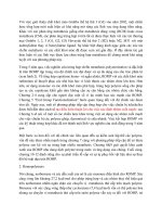 tiểu luận về  RING OPENING POLYMERIZATION (ROMP)