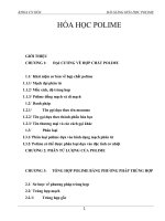 giáo án bài soạn   hóa học polymer