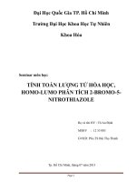 TÍNH TOÁN LƯỢNG tử hóa học, HOMO LUMO PHÂN TÍCH 2 BROMO 5 NITROTHIAZOLE