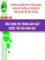 ỨNG DỤNG VSV TRONG SẢN XUẤT THUỐC TRỪ SÂU SINH HỌC