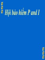 thuyết trình Hội bảo hiểm P and I