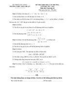 Đề thi học sinh giỏi lớp 10 môn Toán trường Thái Thuận  tỉnh Bắc Giang năm học 20132014