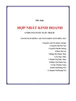 Tiểu luận Hợp nhất kinh doanh