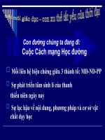 bài giảng   con đường chúng ta đi   cuộc cách mạng học đường