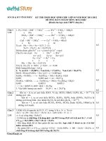 Đáp án Đề thi học sinh giỏi lớp 10 môn Hóa Học (Học sinh chuyên) tỉnh Vĩnh Phúc năm học 20112012