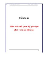 Phân tích mối quan hệ giữa lạm phát và tỷ giá hối đoái