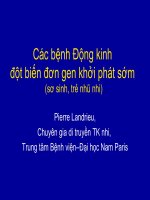 Các bệnh Động kinh đột biến đơn gen khởi phát sớm (sơ sinh, trẻ nhũ nhi)