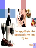 ĐỀ TÀI THỰC TRẠNG, NHỮNG TÁC HẠI VÀ NGUY CƠ CỦA UỐNG RƯỢU BIA TẠI VIỆT NAM