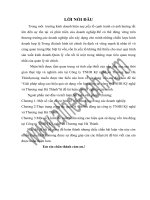 Giải pháp nâng cao hiệu quả sử dụng vốn lưu động tại công ty TNHH Kỹ nghệ và Thương mại Hà Thành