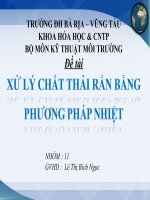đề tài   xử lý chất thải rắn bằng phương pháp nhiệt