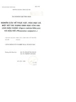 Nghiên cứu về thực vật , hóa học và một số tác dụng sinh học của hai loài đậu xanh(vicna radiata wilczeck) và đậu đỏ (phaseolus vulgaris l)