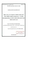 Điều tra cây thuốc trong khu bảo tồn thiên nhiên somsavat ở tỉnh bolikhamxai, nước cộng hoà dân chủ nhân dân lào