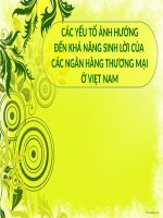 CÁC YẾU TỐ ẢNH HƯỞNG ĐẾN KHẢ NĂNG SINH LỜI CỦA CÁC NGÂN HÀNG THƯƠNG MẠI Ở VIỆT NAM