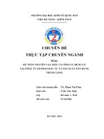 Kế toán nguyên vật liệu và công cụ dụng cụ tại công ty cổ phần đầu tư và sản xuất xây dựng Thăng Long