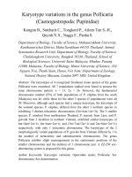Karyotype variations in the genus Pollicaria (Caenogastropoda Pupinidae)