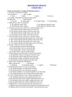REPORTED SPEECH - EXERCISE 1