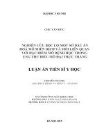Nghiên cứu bộc lộ một số dấu ấn hoá mô miễn dịch và mối liên quan với đặc điểm mô bệnh học trong ung thư biểu mô đại trực tràng