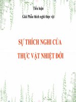 Bài thuyết trình tiểu luận Giải phẫu thích nghi thực vật Sự thích nghi của thực vật nhiệt đới