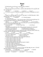 bài kiểm tra về rượu