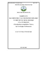 Nghiên cứu đặc điểm thực vật, thành phần hóa học và một số tác dụng sinh học của cây bọ mẩy ( clerodendrum cyrtophyllum turcr ), họ cỏ roi ngựa ( verbenaceae)