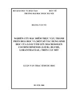 Nghiên cứu đặc điểm thực vật, thành phần hóa học và một số tác dụng sinh học của loài tầm gửi ( macrosolen cochincninensis ( lour  ) blume, loranthaceae  ) trên cây mít