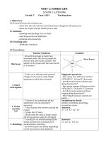 Giáo án tiếng anh chương trình dạy thí điểm lớp 6 tham khảo (7)