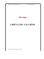 Tiểu luận Chiến lược tài chính