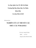 NGHIÊN cứu lý THUYẾT cấu TRÚC các PYRAZOLE