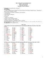 ĐỀ cương ôn thi HKI tiếng Anh lớp 1 0 (With key)