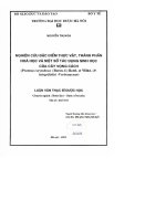 Nghiên cứu đặc điểm thực vật, thành phần hóa học và một số tác dụng sinh học của cây vọng cách ( premna corymbosa ( burm f  ) rottl  et willd  (p integrifolia )   verbenaceae )