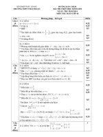 Đáp Án Đề thi học sinh giỏi lớp 10 môn Toán trường Thái Thuận  tỉnh Bắc Giang năm học 20132014