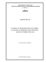Tác động của thị trường quyền gây ô nhiễm và giải pháp tài chính phát triển thị trường quyền gây ô nhiễm ở việt nam