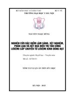 Nghiên cứu đặc điểm lâm sàng, xét nghiệm, phân loại và kết quả điều trị tấn công lơxêmi cấp chuyển từ lơxêmi kinh dòng hạt