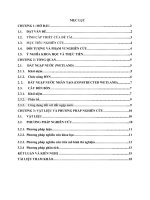 Để tài: Nghiên cứu và cải thiện hệ thống đất ngập nước trong việc xử lý Nito và Photpho bằng cây bồn bồn