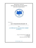 Quản Trị Kinh Doanh Quốc Tế SỰ TRỖI DẬY CỦA NGÀNH CÔNG NGHIỆP XE HƠI ẤN