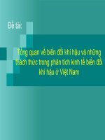 Tổng quan về biến đổi khí hậu và những thách thức trong phân tích kinh tế biến đổi khí hậu ở Việt Nam