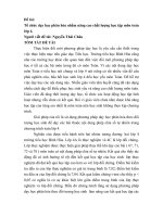 SKKN Tổ chức dạy học phân hóa nhằm nâng cao chất lượng học tập môn toán lớp 4. THCS BÌNH HÒA