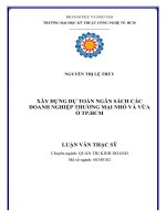 Xây dựng dự toán ngân sách các doanh nghiệp thương mại nhỏ và vừa ở TP. HCM