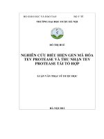 Nghiên cứu biểu hiện gen mã hóa TEV protease và thu nhận TEV protease tái tổ hợp