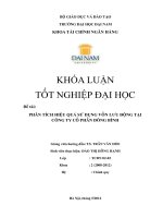 Phân tích hiệu quả sử dụng vốn lưu động tại công ty cổ phần Đông Bình
