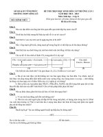 Đề thi học sinh giỏi lớp 10 môn Sinh học THPT Sông Lô, tỉnh Vĩnh Phúc năm học 2012  2013