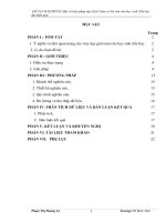 SKKN Một số biện pháp dạy giải toán có lời văn cho học sinh tiểu học đạt hiệu quả. TIỂU HỌC BÌNH THỚI