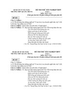 Đề thi thử tốt nghiệp THPT Ngữ văn